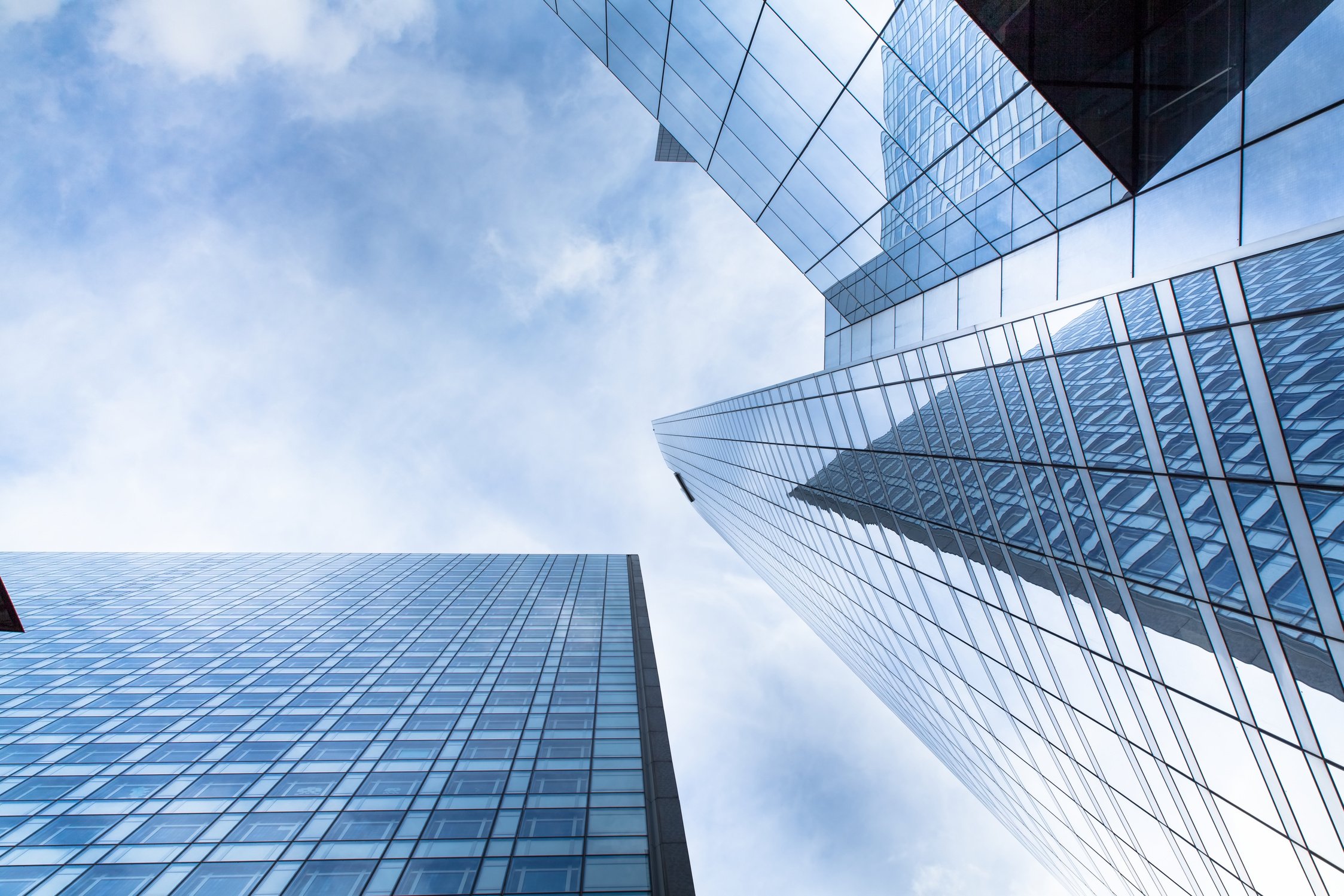 business backgrounds